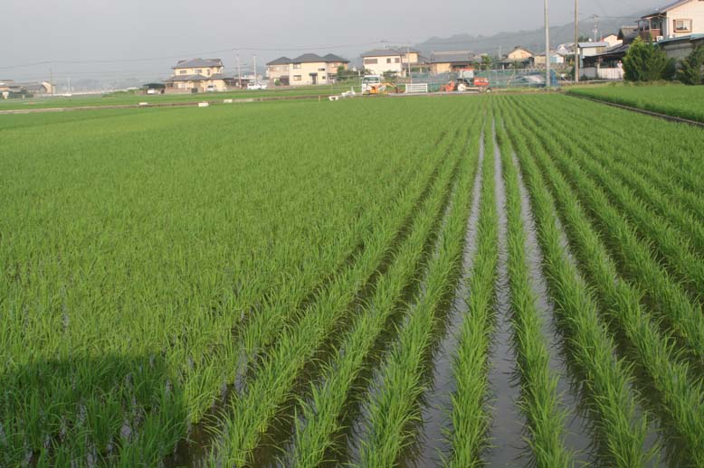 http://tomo.sblog.jp/ta/tukuda7.jpg